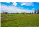 36055 Tasman Highway, Springfield TAS 7260