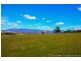 36055 Tasman Highway, Springfield TAS 7260