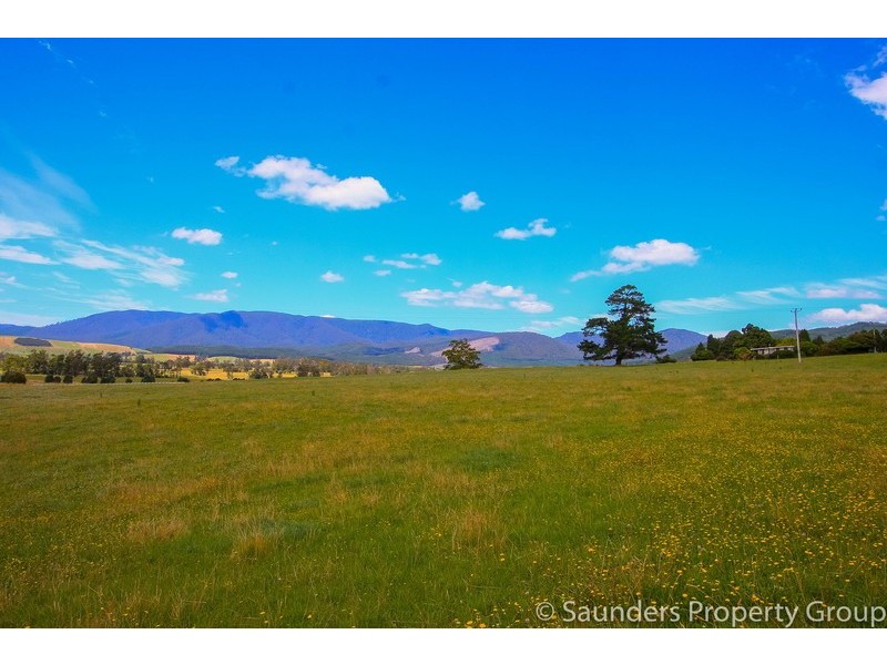 36055 Tasman Highway, Springfield TAS 7260