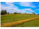 36055 Tasman Highway, Springfield TAS 7260