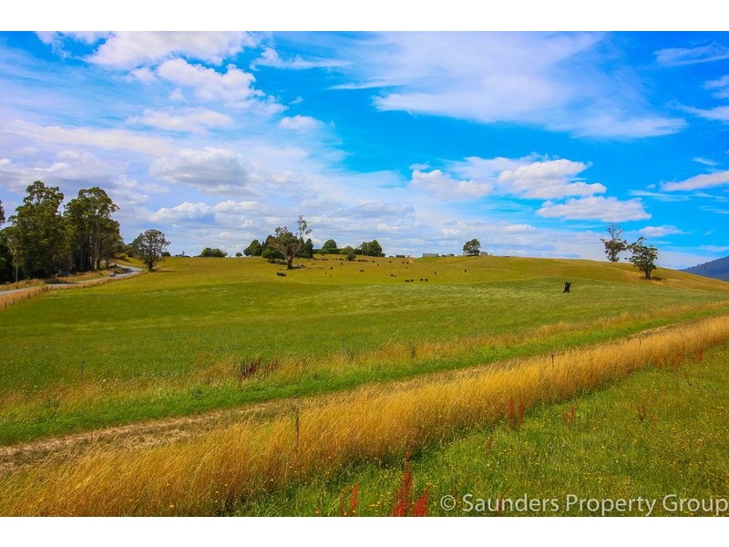 36055 Tasman Highway, Springfield TAS 7260