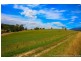 36055 Tasman Highway, Springfield TAS 7260