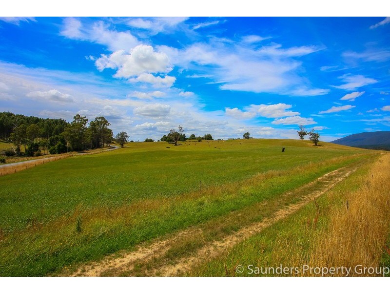 36055 Tasman Highway, Springfield TAS 7260