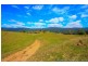 36055 Tasman Highway, Springfield TAS 7260