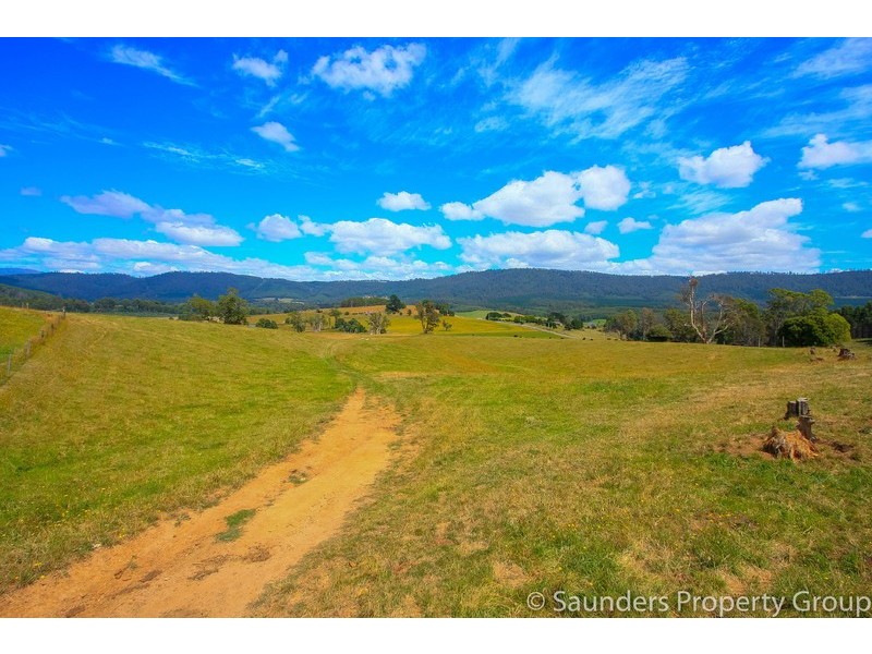 36055 Tasman Highway, Springfield TAS 7260