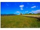 36055 Tasman Highway, Springfield TAS 7260
