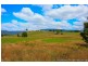 36055 Tasman Highway, Springfield TAS 7260