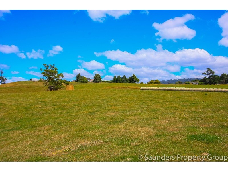 36055 Tasman Highway, Springfield TAS 7260
