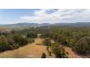 161 Wadleys Road, Reedy Marsh TAS 7304