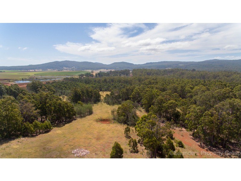 161 Wadleys Road, Reedy Marsh TAS 7304