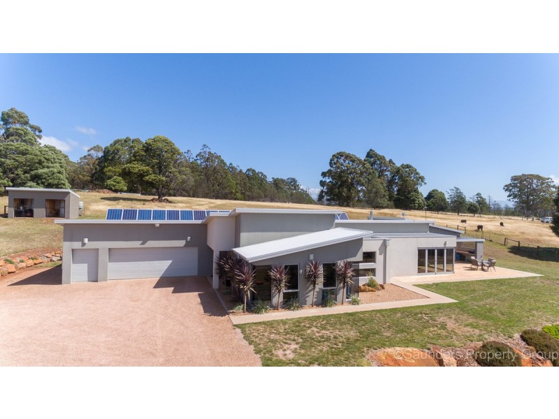 161 Wadleys Road, Reedy Marsh TAS 7304