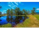 36055 Tasman Highway, Springfield TAS 7260