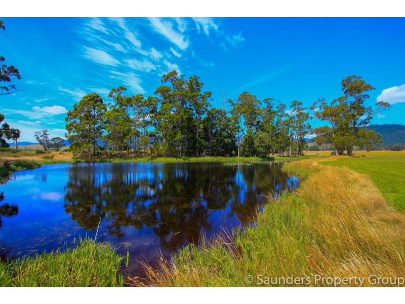 36055 Tasman Highway, Springfield TAS 7260