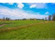 36055 Tasman Highway, Springfield TAS 7260