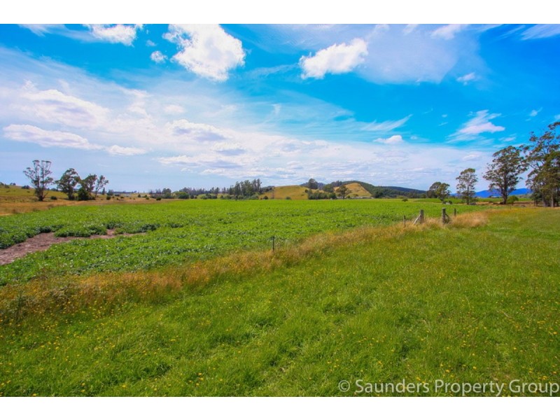 36055 Tasman Highway, Springfield TAS 7260