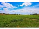 36055 Tasman Highway, Springfield TAS 7260