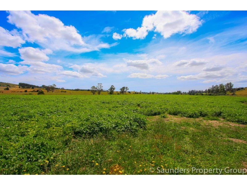 36055 Tasman Highway, Springfield TAS 7260