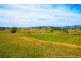 36055 Tasman Highway, Springfield TAS 7260