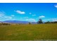 36055 Tasman Highway, Springfield TAS 7260