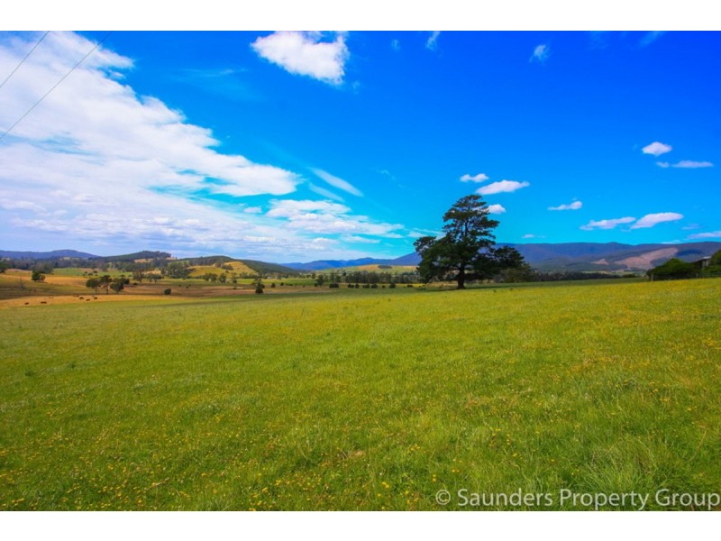 36055 Tasman Highway, Springfield TAS 7260