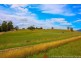 36055 Tasman Highway, Springfield TAS 7260