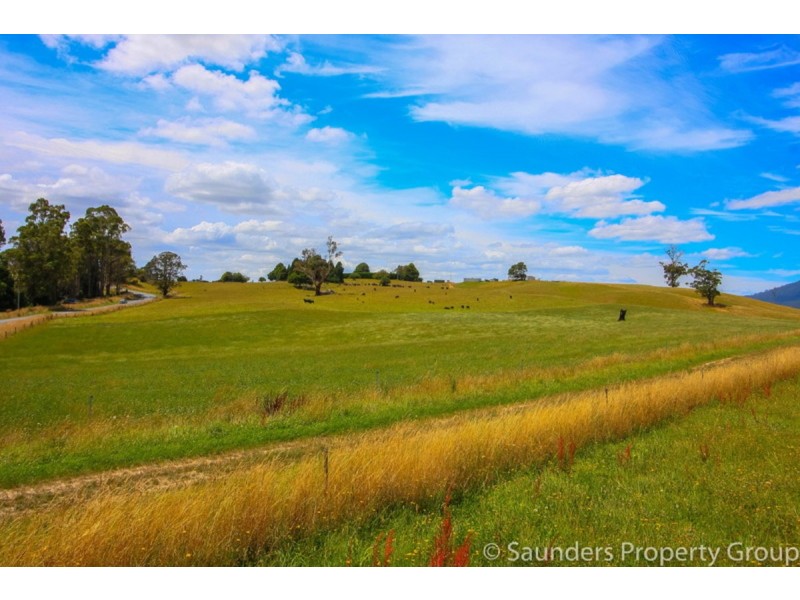 36055 Tasman Highway, Springfield TAS 7260