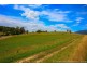 36055 Tasman Highway, Springfield TAS 7260