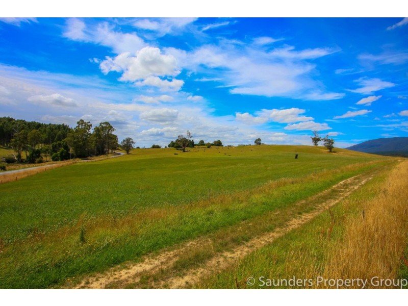 36055 Tasman Highway, Springfield TAS 7260