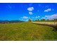 36055 Tasman Highway, Springfield TAS 7260