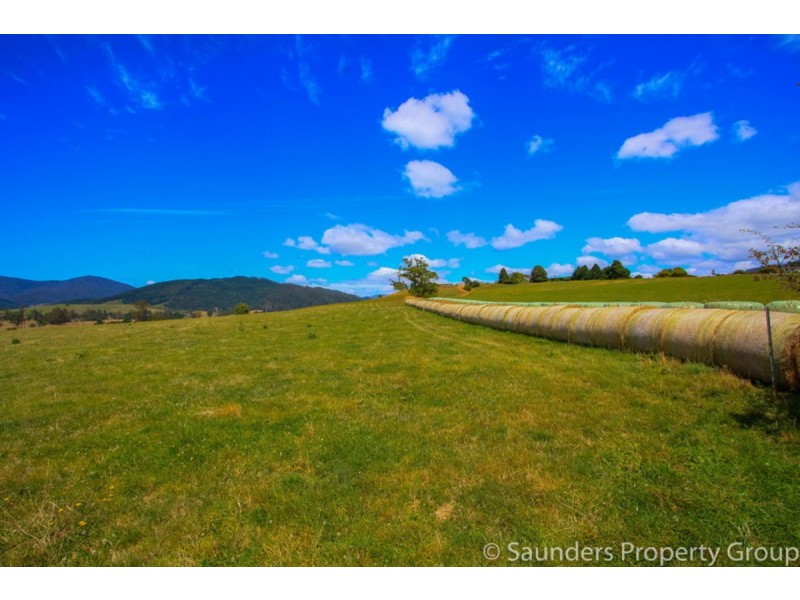36055 Tasman Highway, Springfield TAS 7260