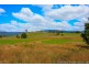 36055 Tasman Highway, Springfield TAS 7260
