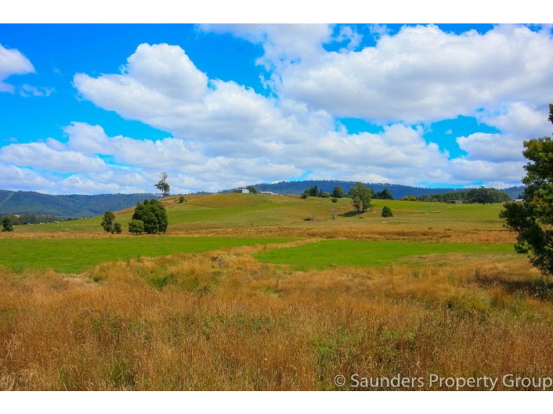 36055 Tasman Highway, Springfield TAS 7260