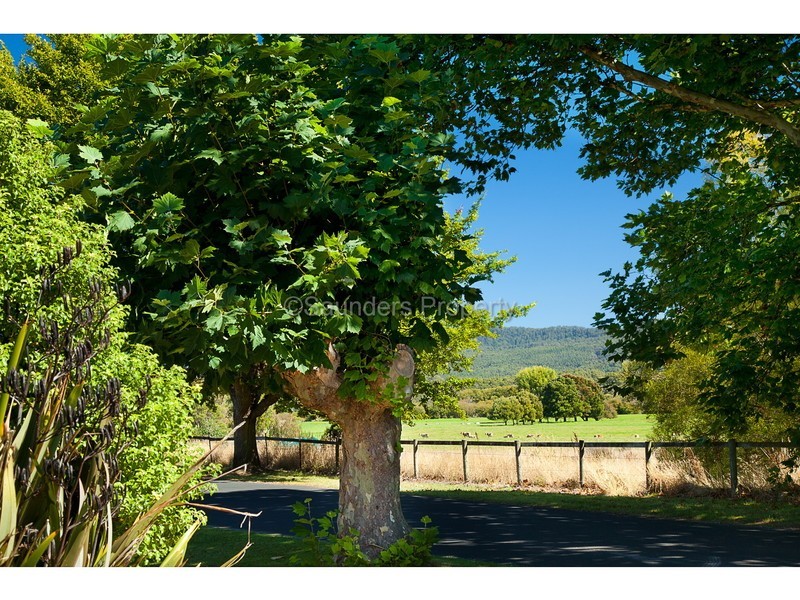 47 Hamilton Street, Latrobe TAS 7307