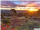 98A Abels Hill Road, St Leonards TAS 7250