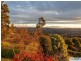 98A Abels Hill Road, St Leonards TAS 7250