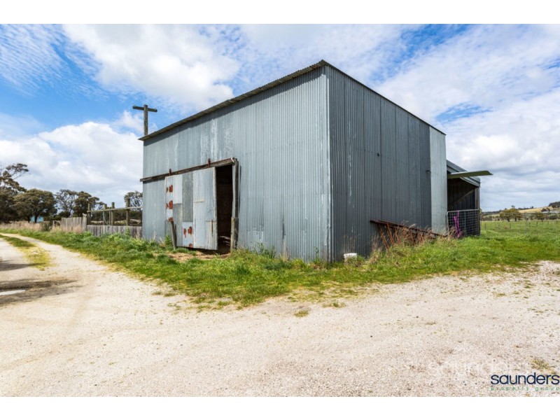 17 Emily Street, Bridport TAS 7262