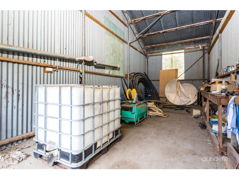 309 Waterhouse Road, Bridport TAS 7262