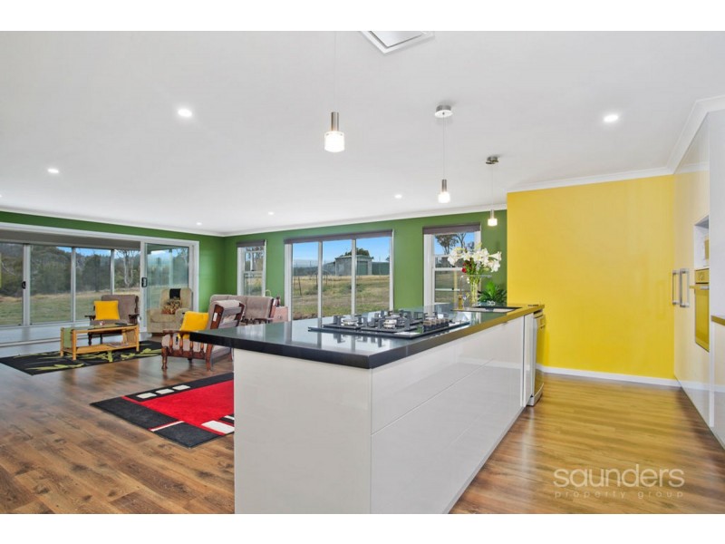 58 White Gum Rise, St Leonards TAS 7250