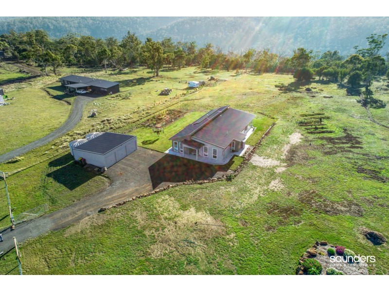 58 White Gum Rise, St Leonards TAS 7250