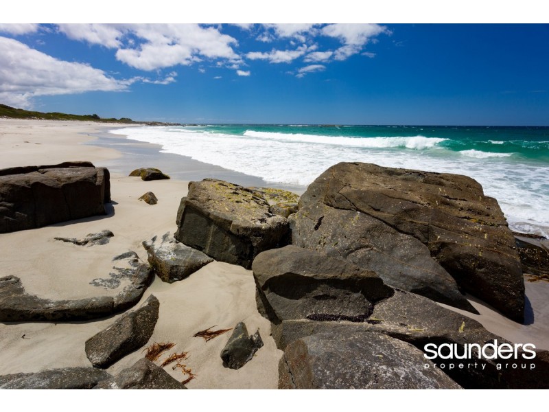 29 Morrison Street, Falmouth TAS 7215