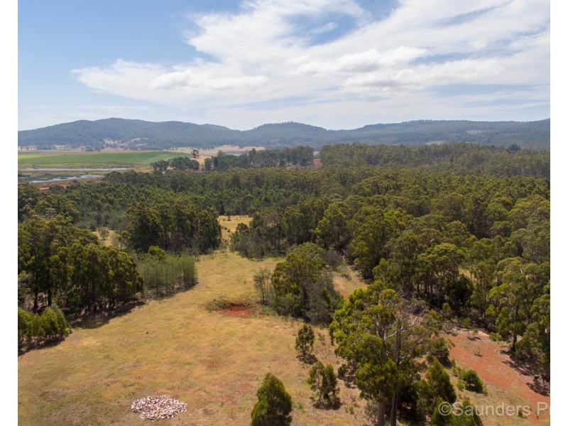 161 Wadleys Road, Reedy Marsh TAS 7304
