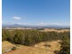 161 Wadleys Road, Reedy Marsh TAS 7304