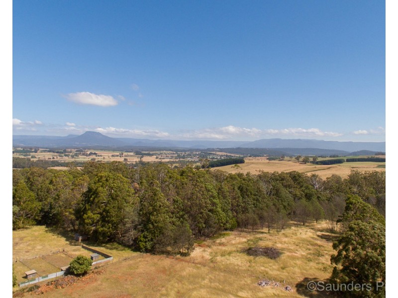 161 Wadleys Road, Reedy Marsh TAS 7304