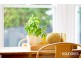 312 St Leonards Road, St Leonards TAS 7250