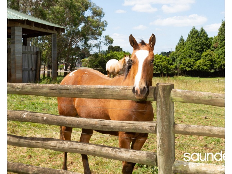 115 King Street, Scottsdale TAS 7260