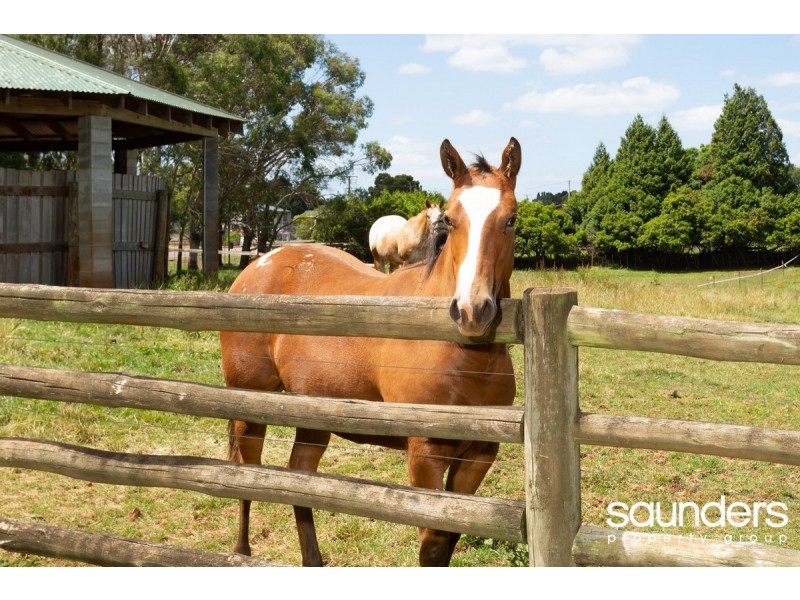 115 King Street, Scottsdale TAS 7260