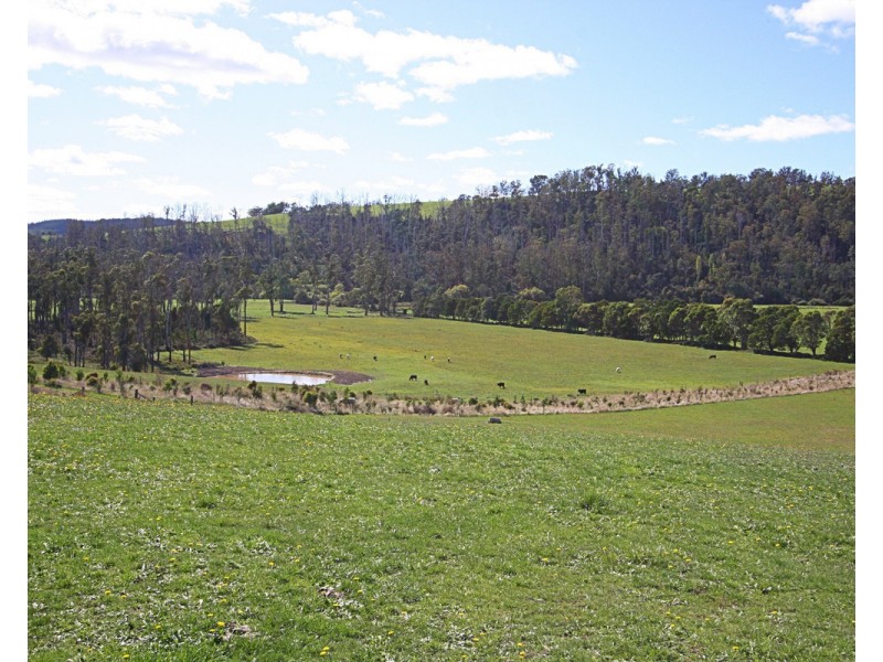 198 Bangor Road, Karoola TAS 7267