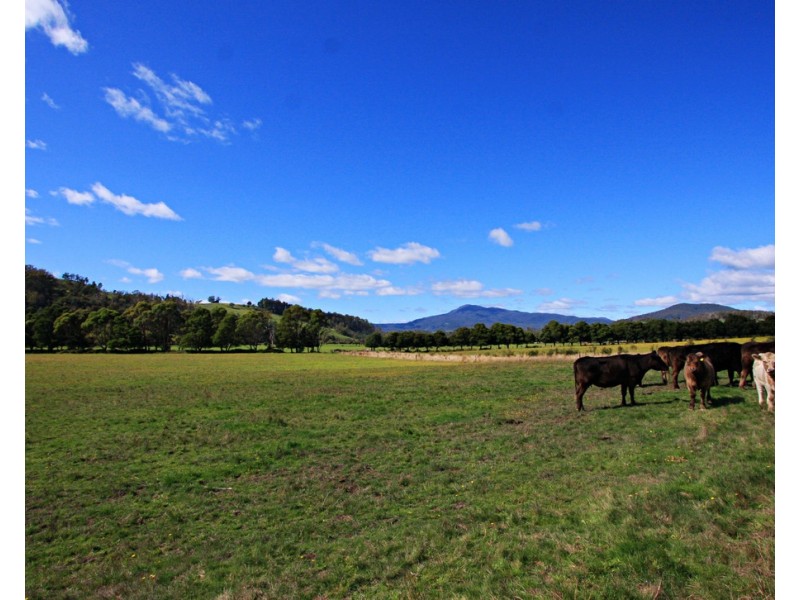 198 Bangor Road, Karoola TAS 7267