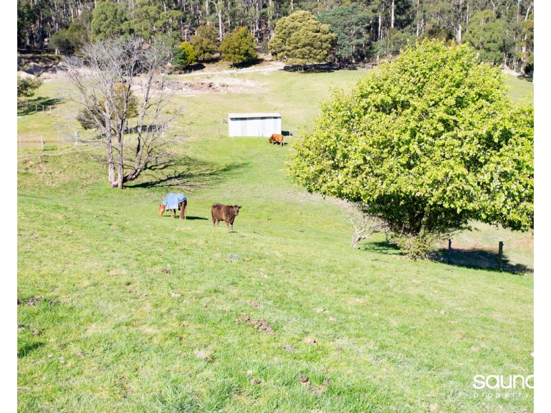 123 Collins Lane, Sidmouth TAS 7270