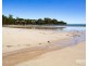 163 Gardners Road, Greens Beach TAS 7270